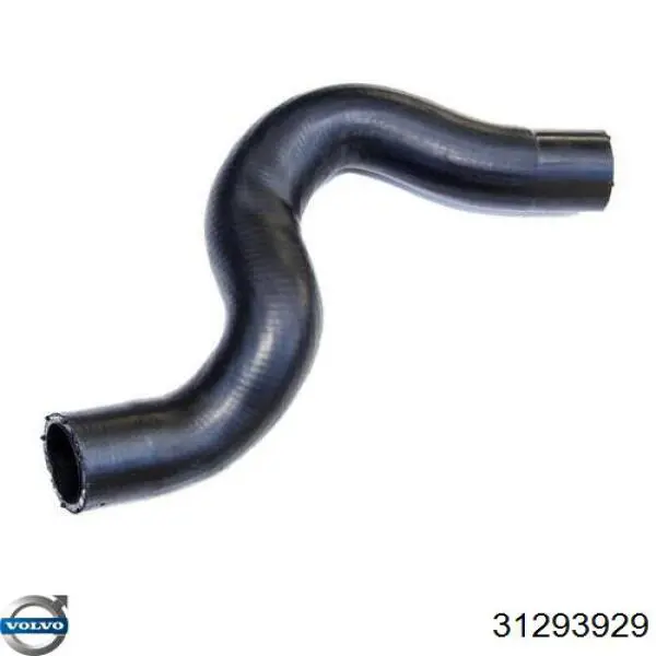 31293929 Volvo Трубка, що нагнітається