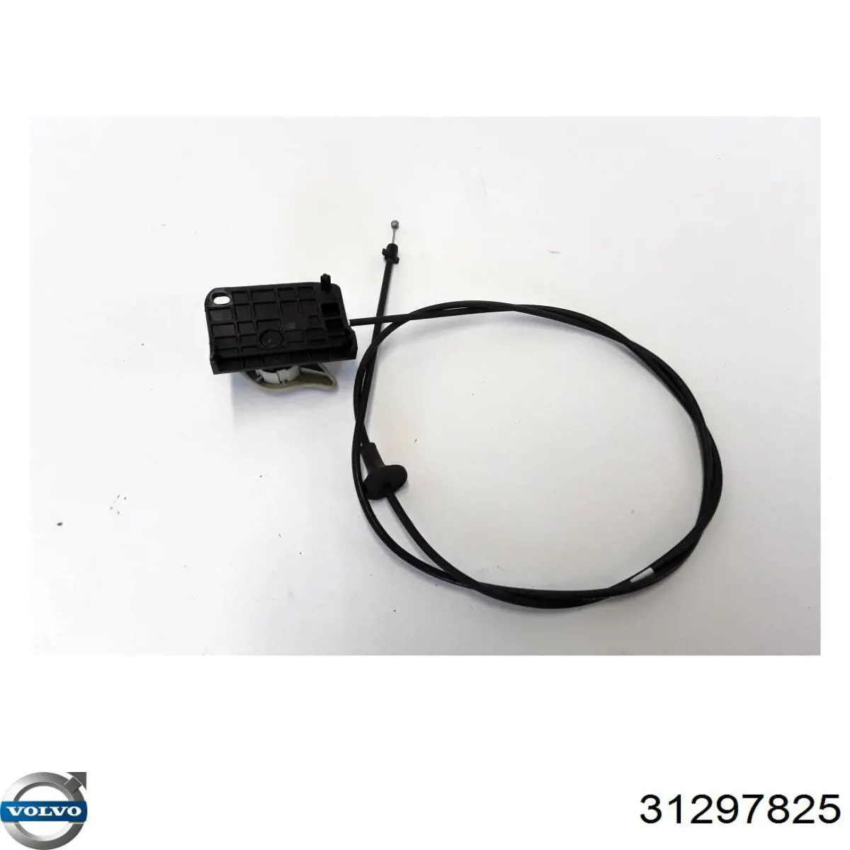 Купити 31297825 Volvo 