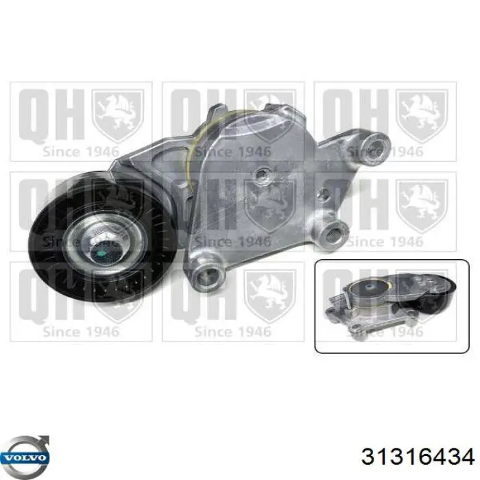 Купити 31316434 Volvo Натягувач приводного ременя