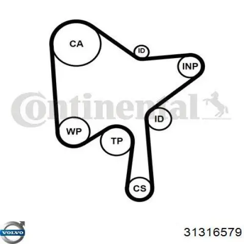 Купити 31316579 Volvo Ремінь газорозподільного механізму