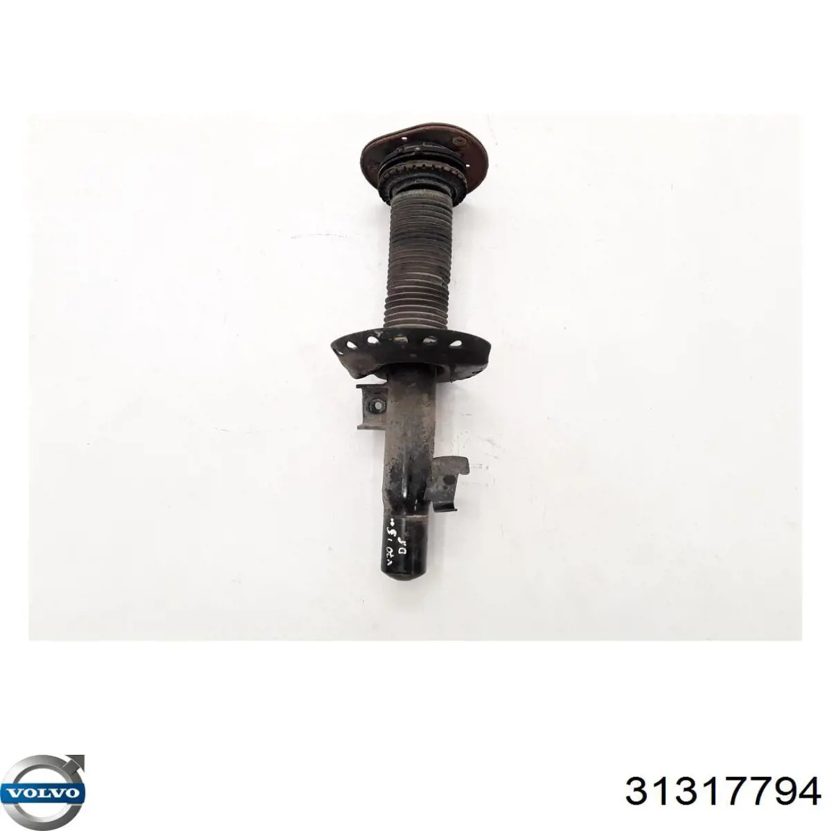 Купити 31317794 Volvo Амортизатор передній, правий