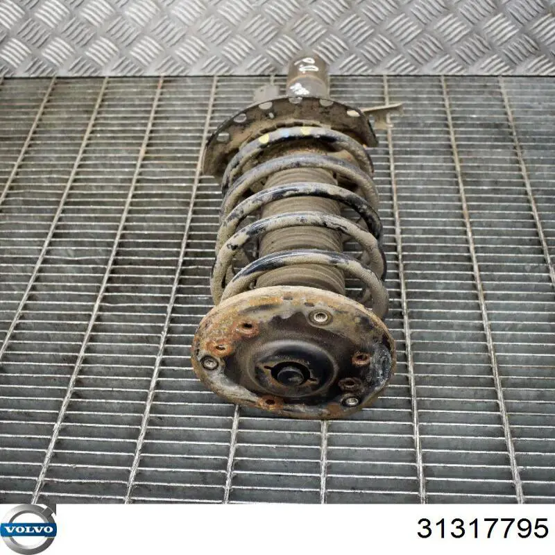 Купити 31317795 Volvo Амортизатор передній, правий