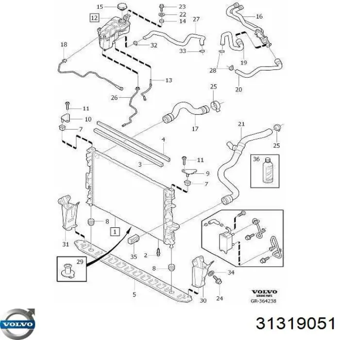 Купити 31273916 Volvo Шланг розширювального бачка, верхній