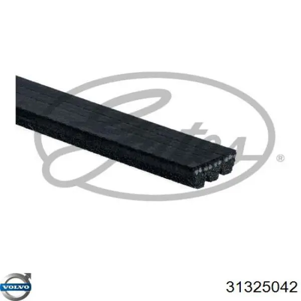 Купити 31325042 Volvo Ремінь генератора