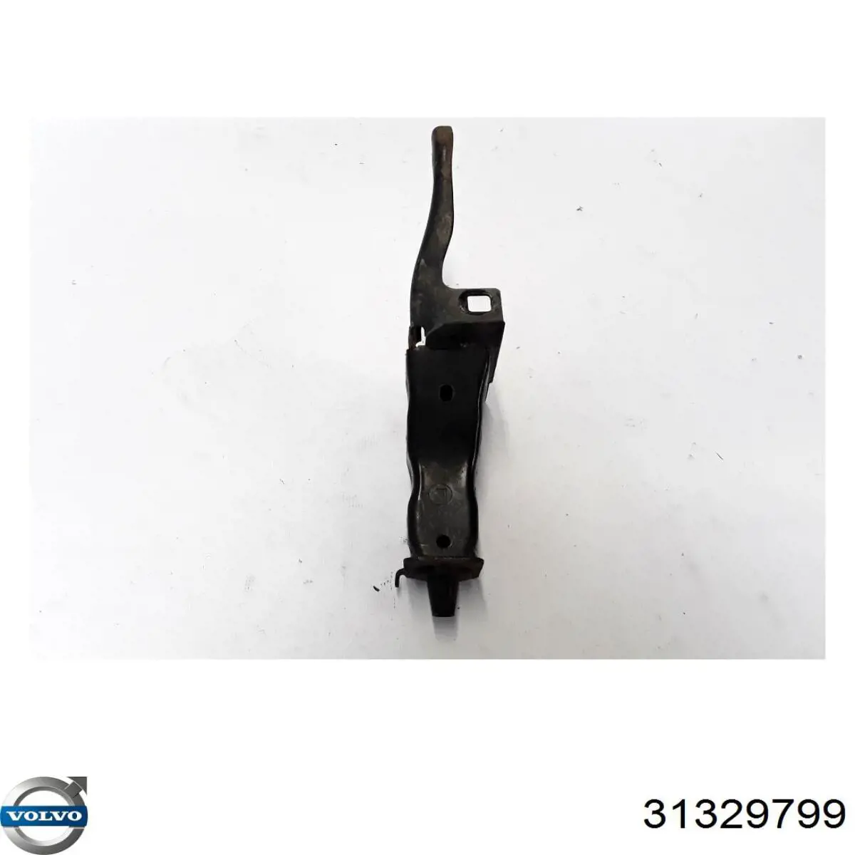  31329799 Volvo