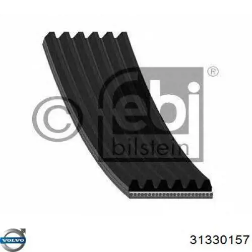 Купити 31330157 Volvo Ремінь генератора