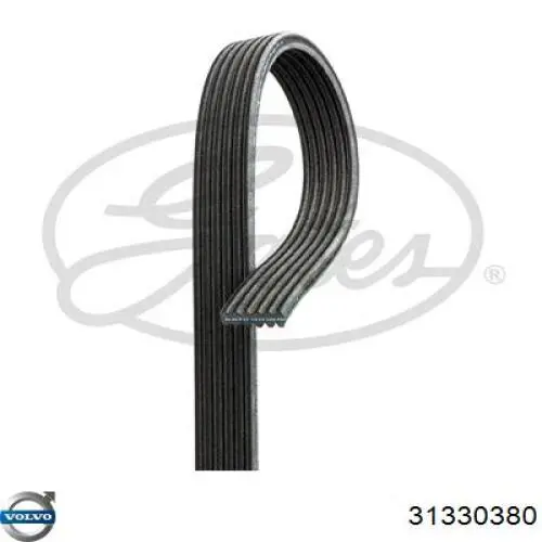 Купити 31330380 Volvo Ремінь генератора