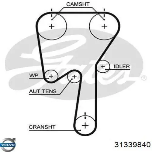 Комплект ГРМ 31339840 Volvo