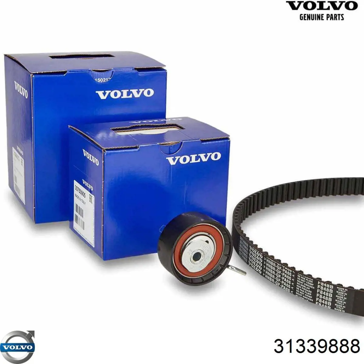 Купити 31339888 Volvo ГРМ ремень
