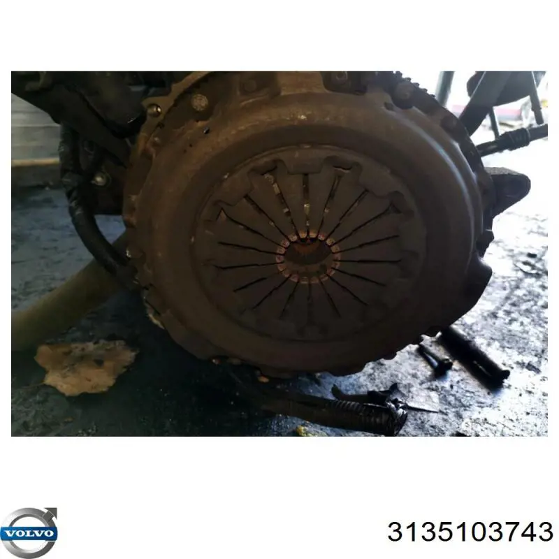 Купити 3135103743 Ford 