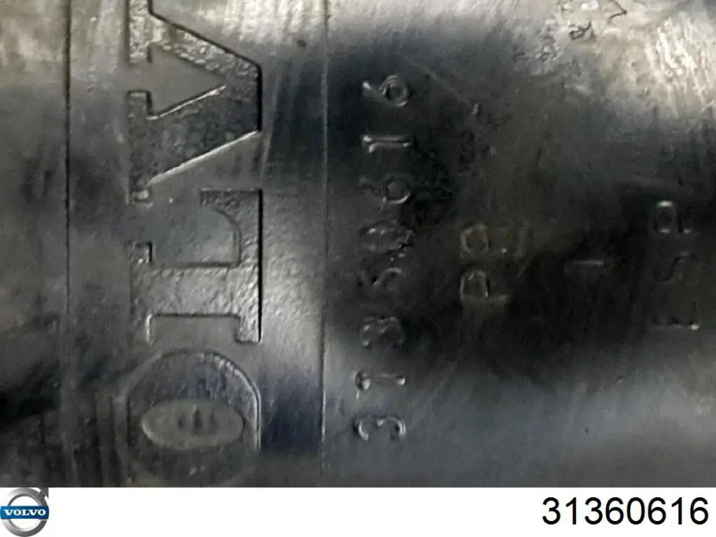 Пильник амортизатора заднього 31360616 Volvo