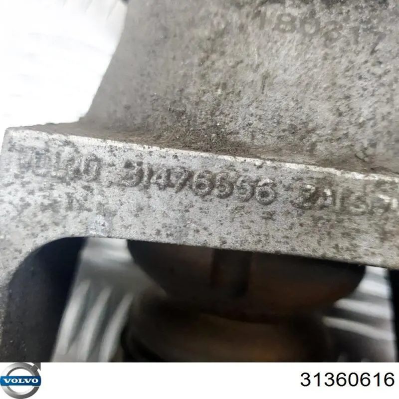 31360616 Volvo Пильник стійки задньої