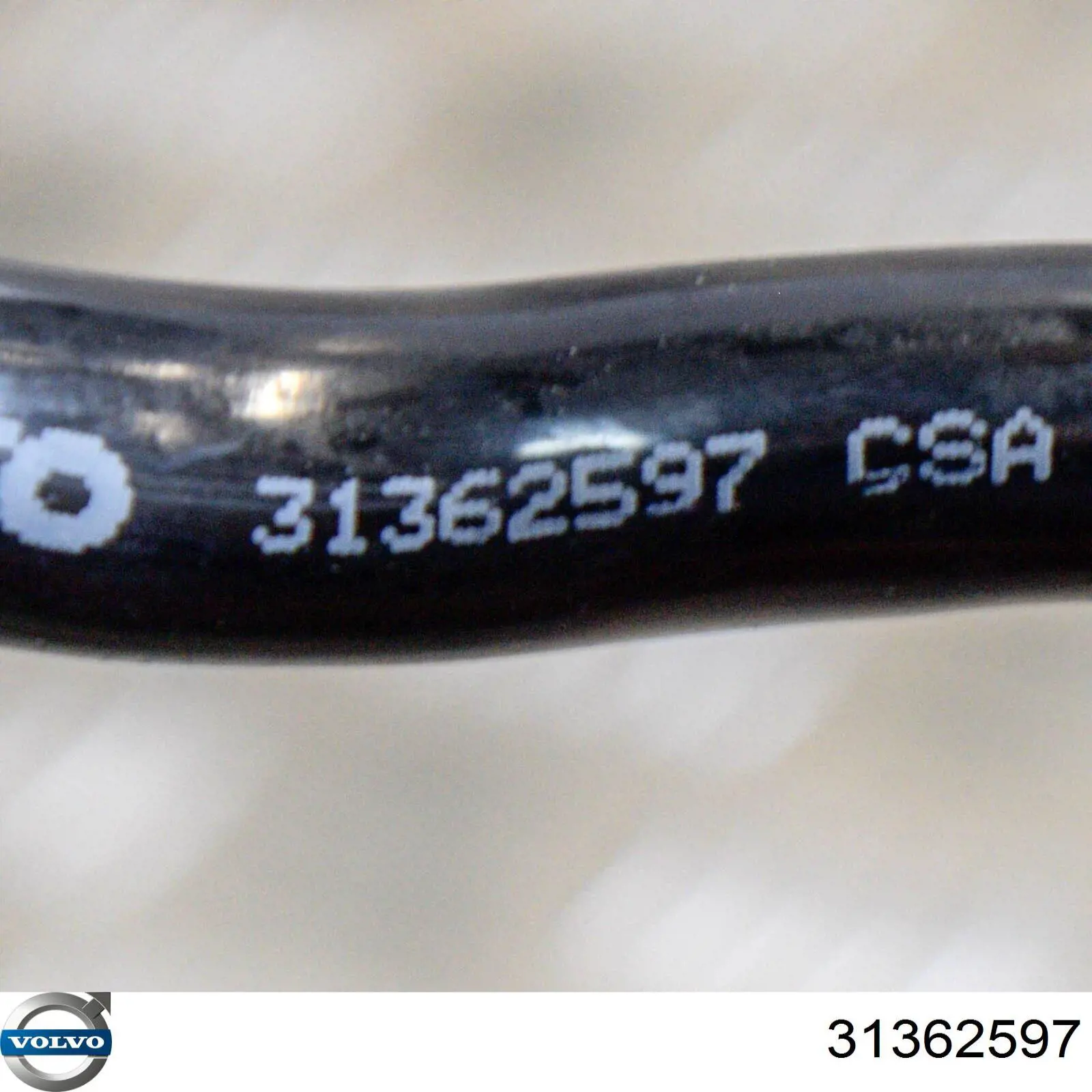  31362597 Volvo