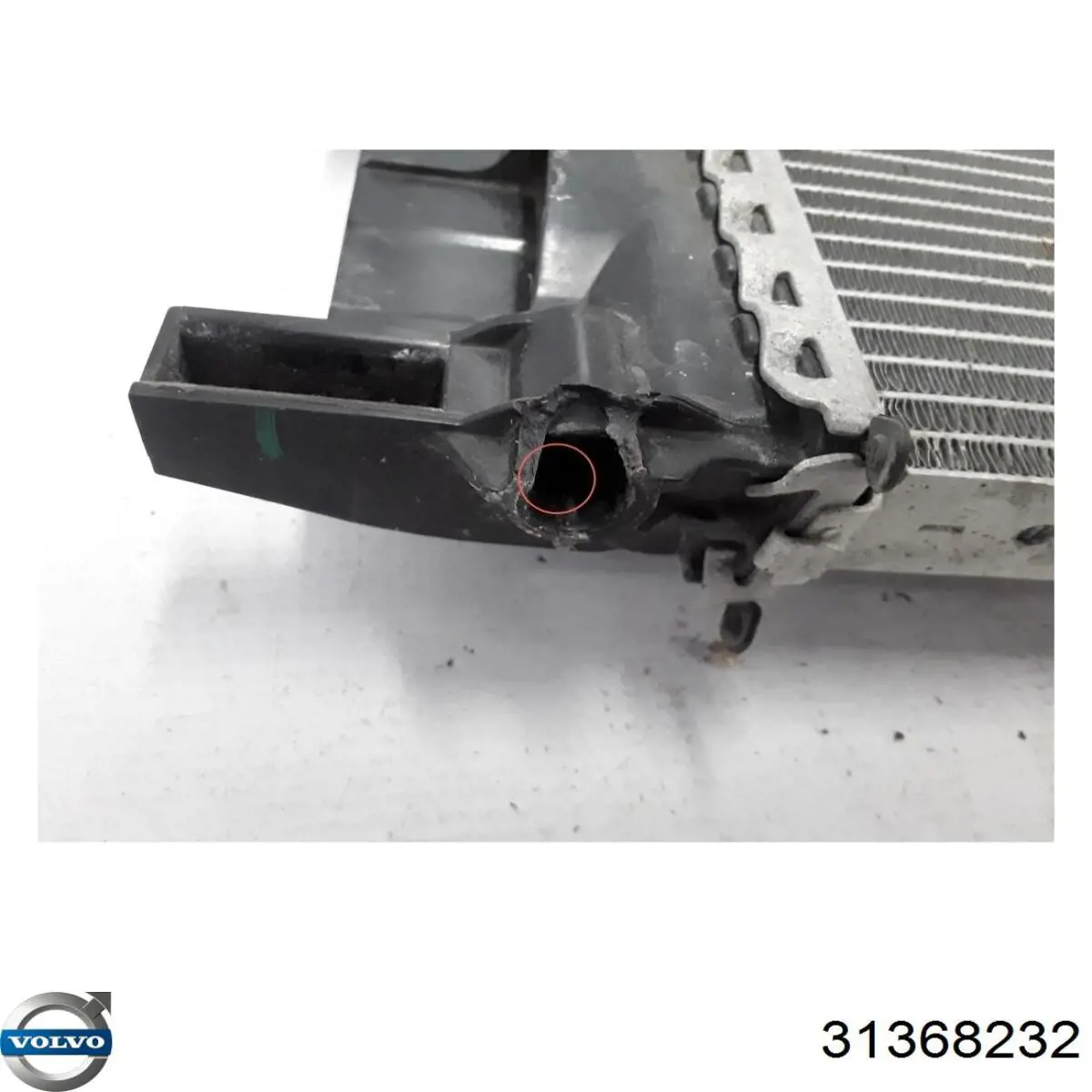 Купити 31368232 Volvo Радіатор двигуна