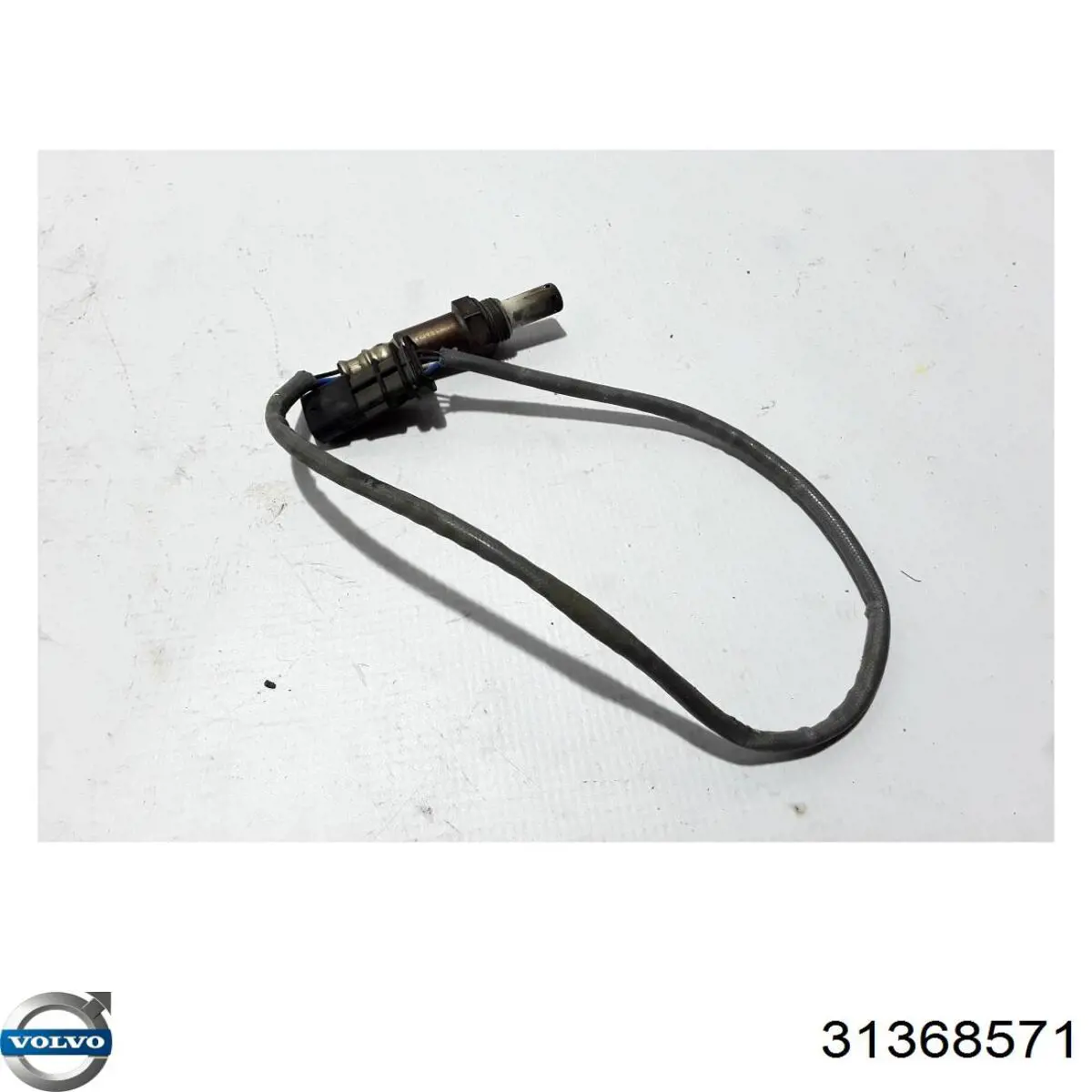 Купити 31368571 Volvo 