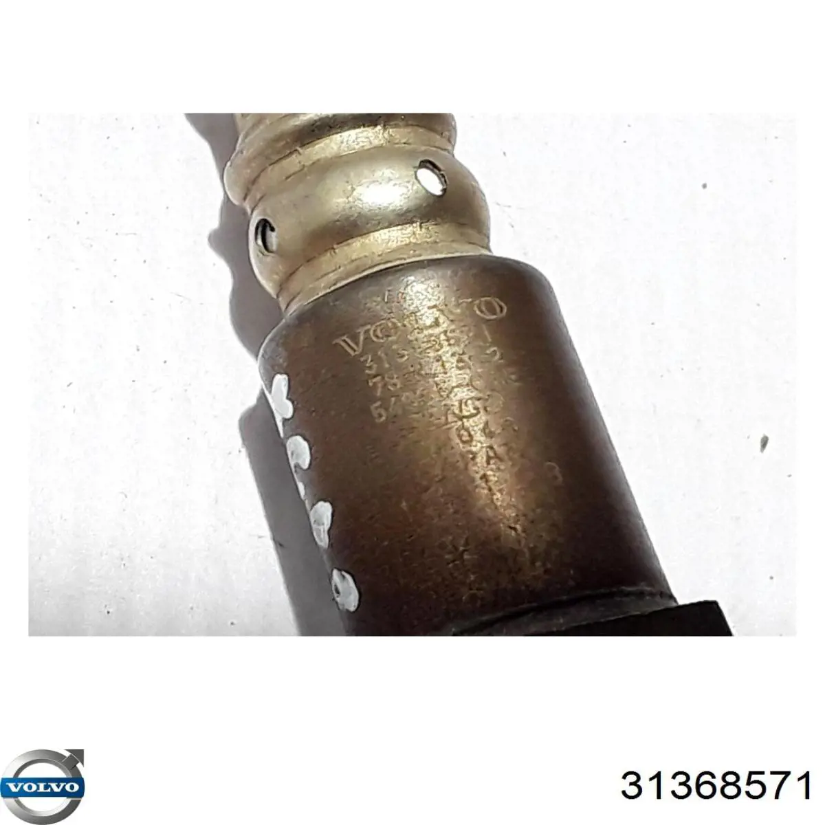  Volvo 31368571 ціна, від 63.34 USD