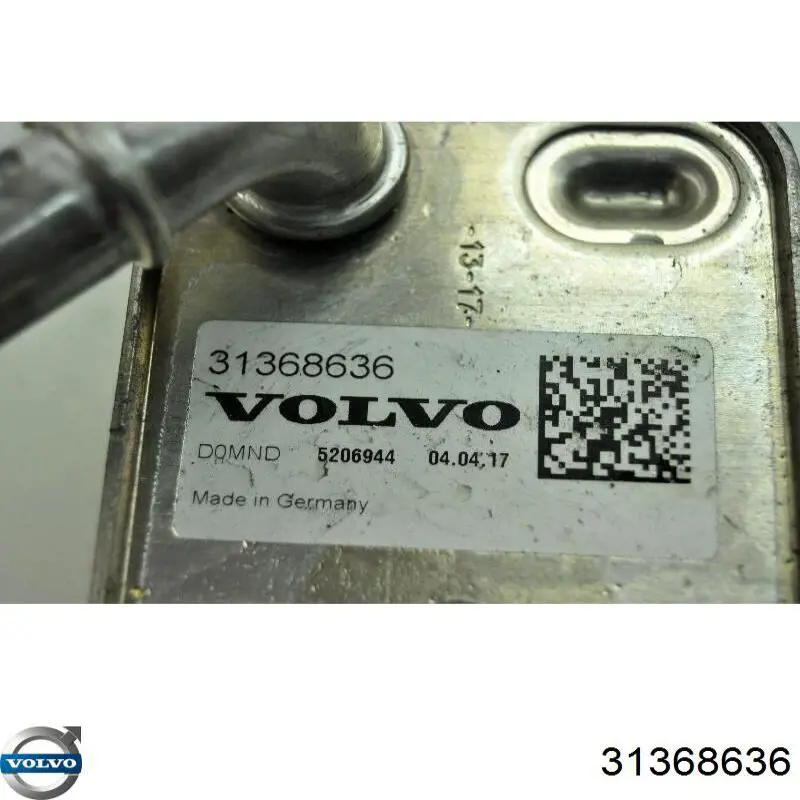 Купити 31368636 Volvo Радіатор масляний