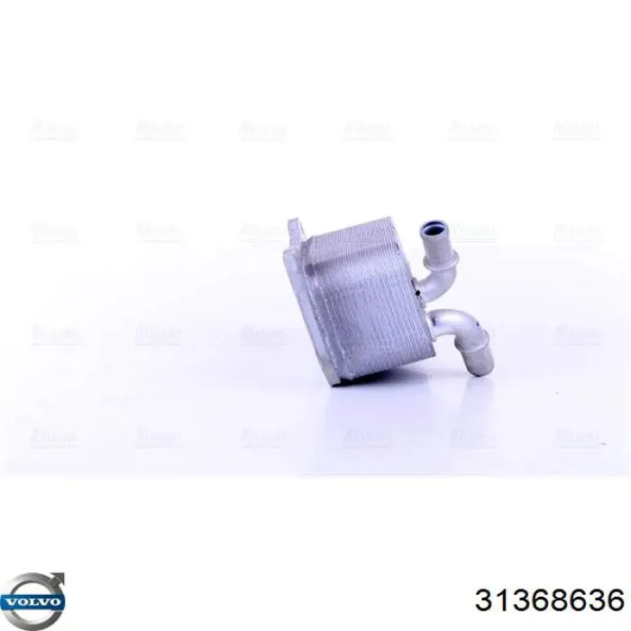 31368636 Volvo Радіатор масляний