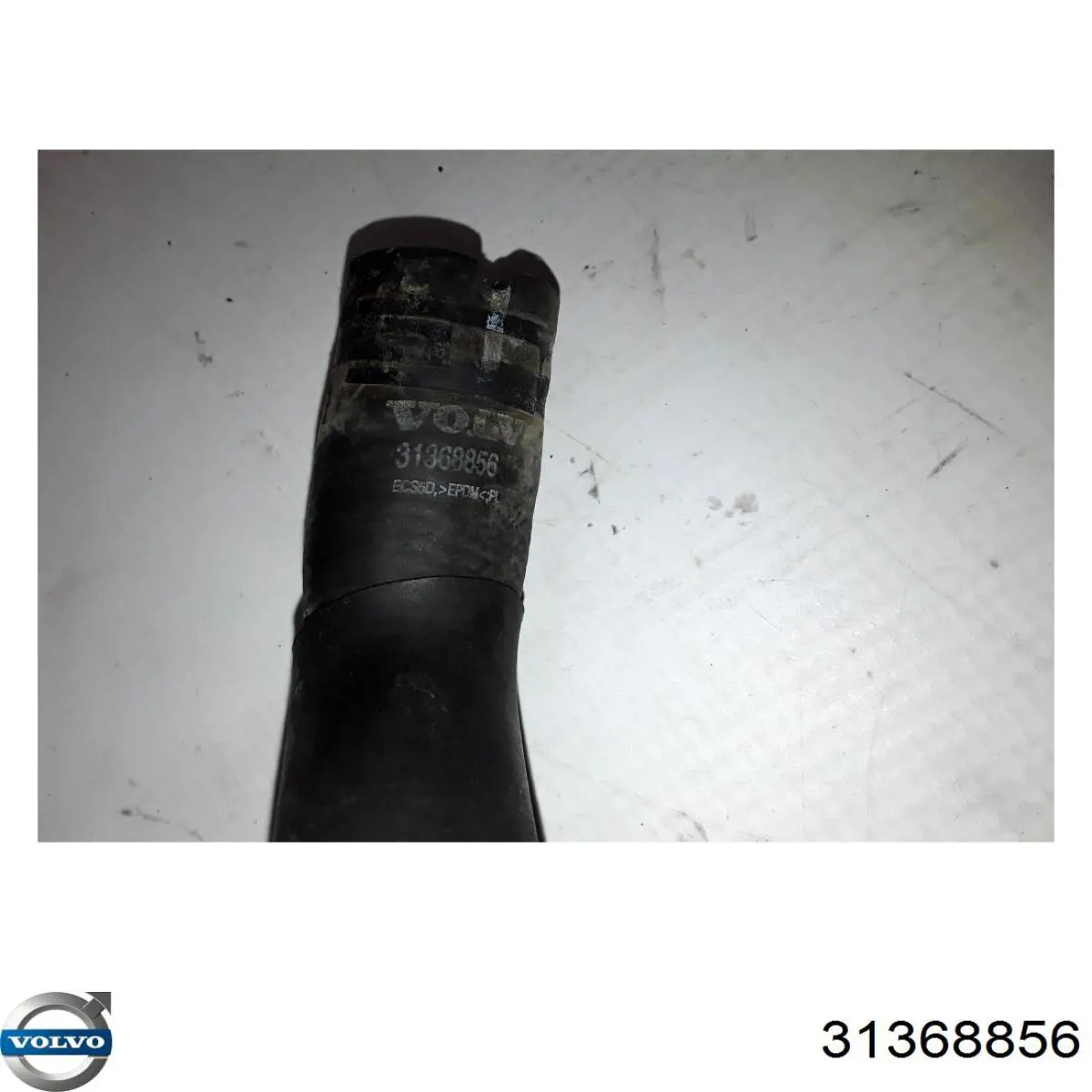 Купити 31368856 Volvo 