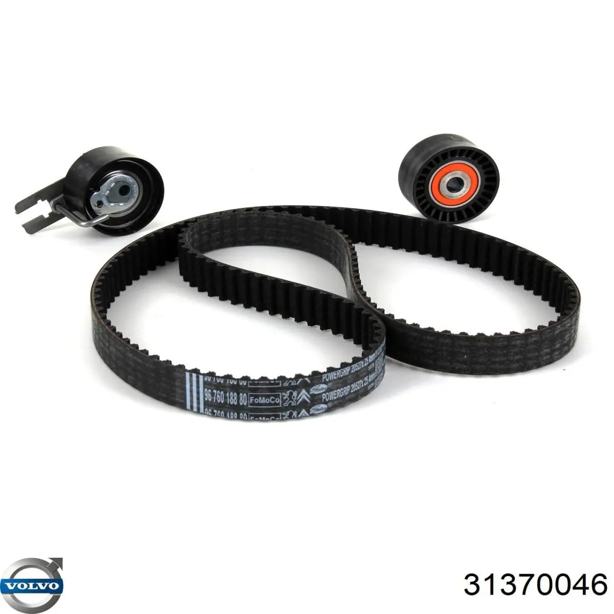 Купити 31370046 Volvo ГРМ ремень