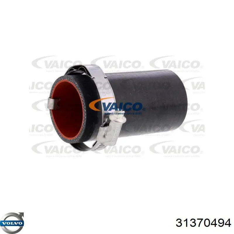 Купити 31370494 Volvo Шланг/патрубок интеркуллера