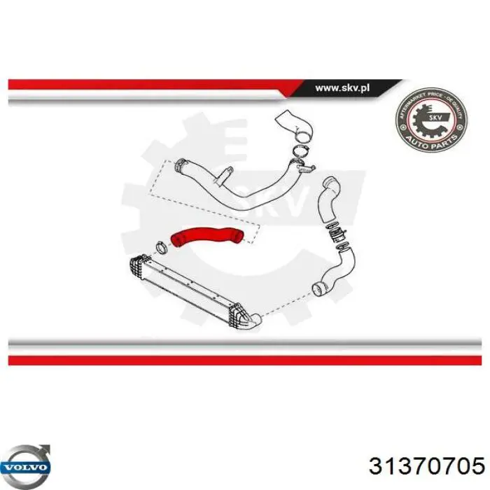 Шланг/патрубок интеркуллера Volvo 31370705 ціна, від 107.75 USD