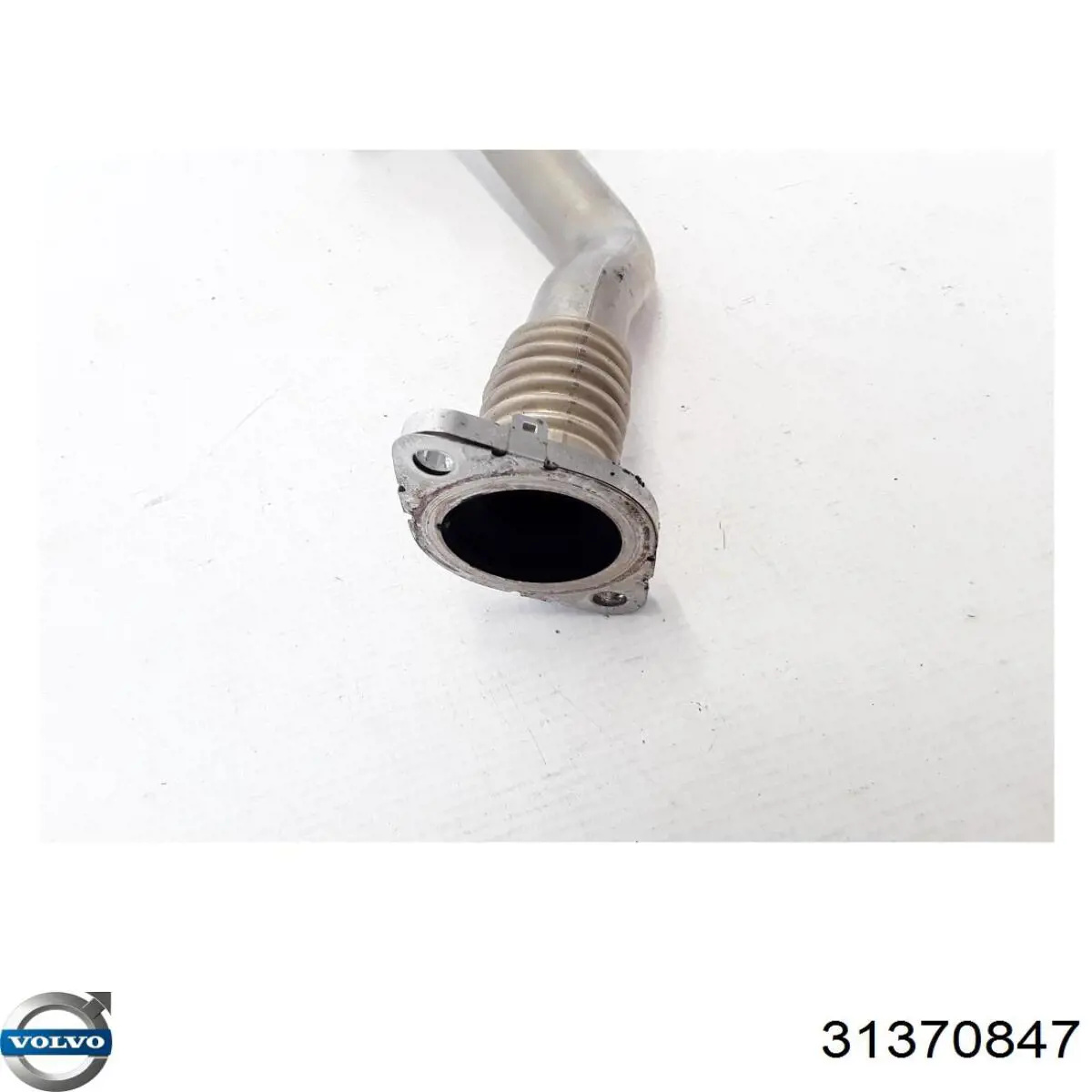 Патрубок радіатора системи рециркуляції ОГ Volvo 31370847 ціна, від 216.82 USD