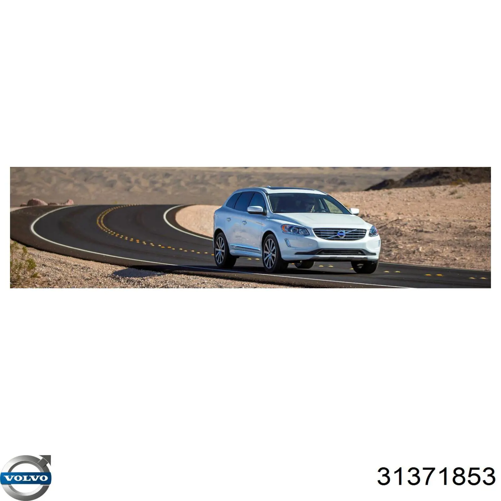 Купити 31371853 Volvo 