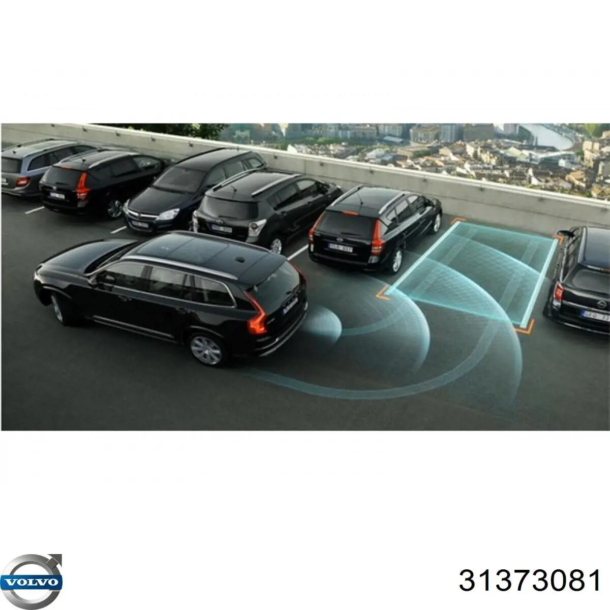 Купити 31373081 Volvo 