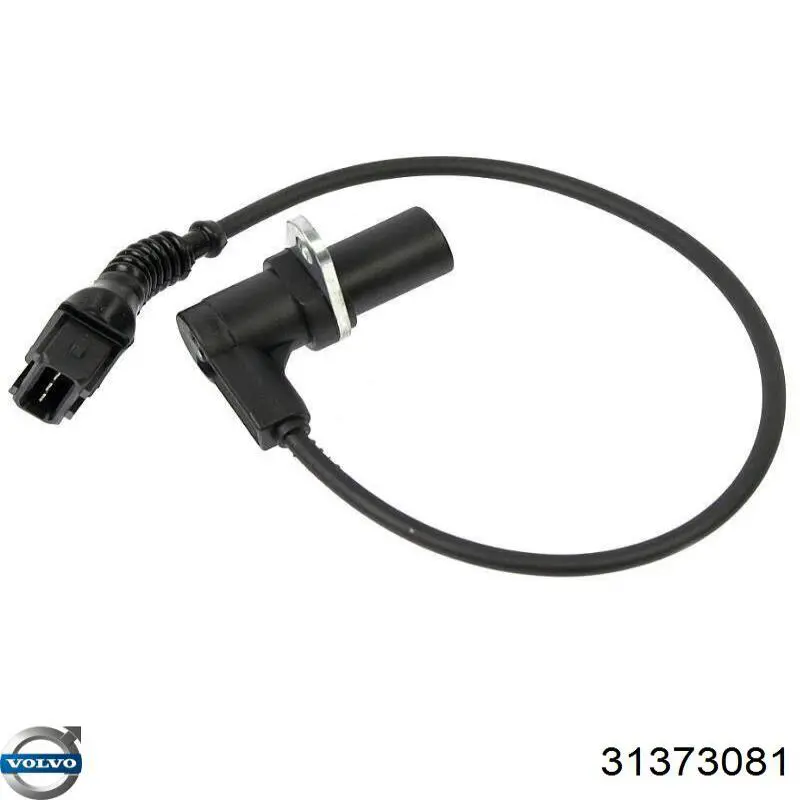 31373081 Volvo 