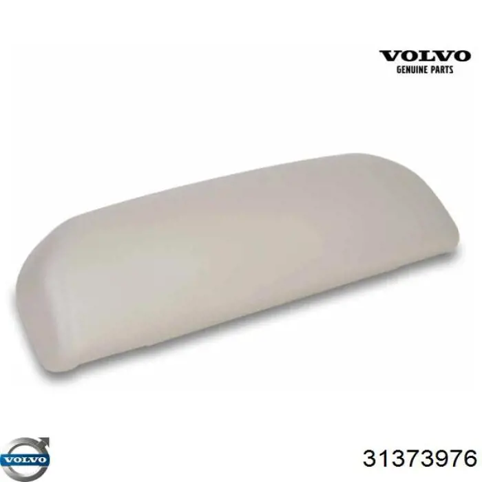 31373976 Volvo 
