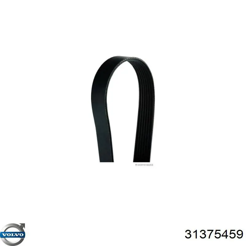 Купити 31375459 Volvo Ремінь генератора