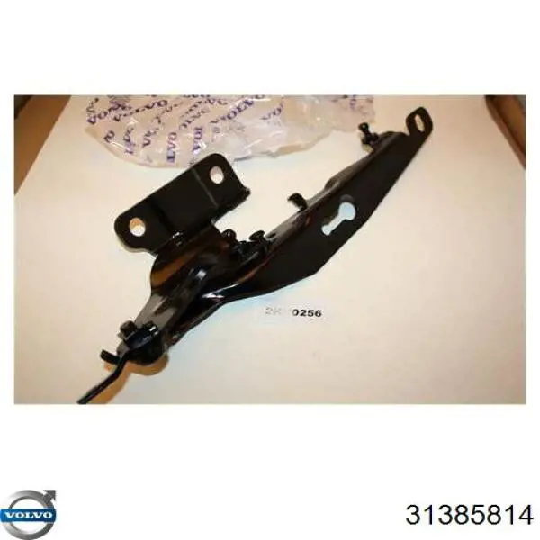 31385814 Volvo Завіс капота, лівий