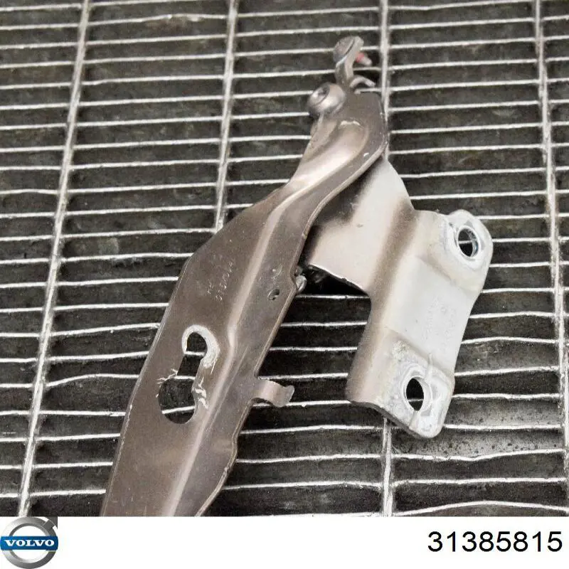 Купити 31385815 Volvo Шарнір капота правий