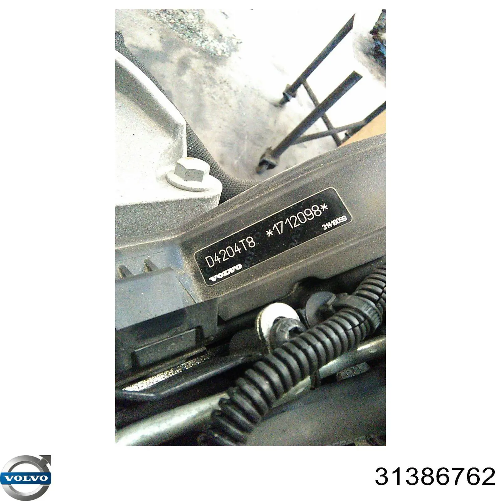 Купити 31386762 Volvo Скло та ущільнювачі скла вітрового правого/лівого