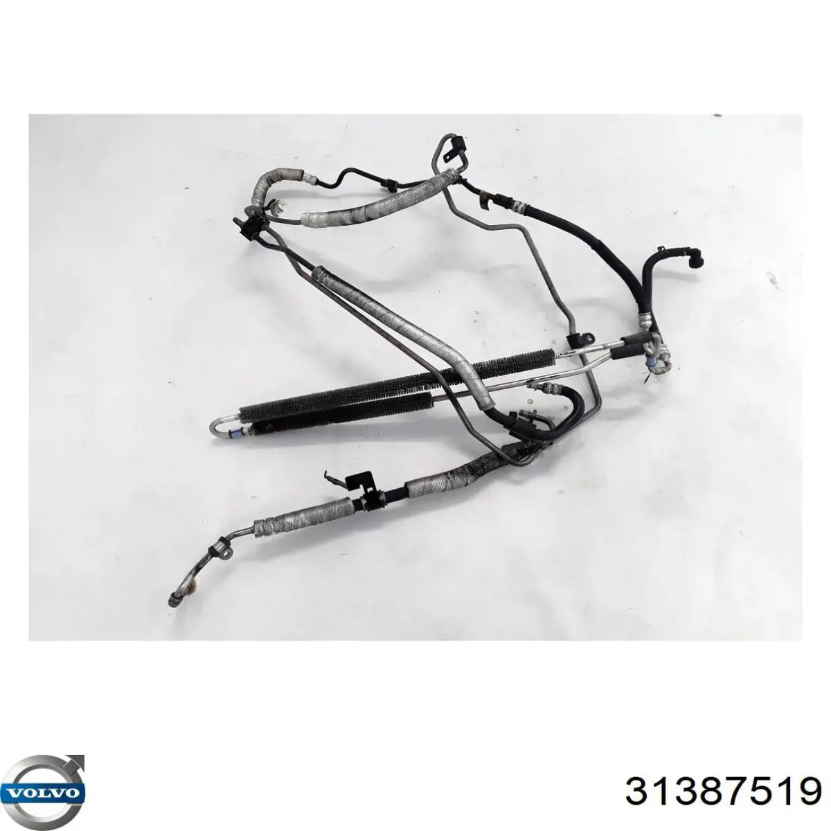  31387519 Volvo