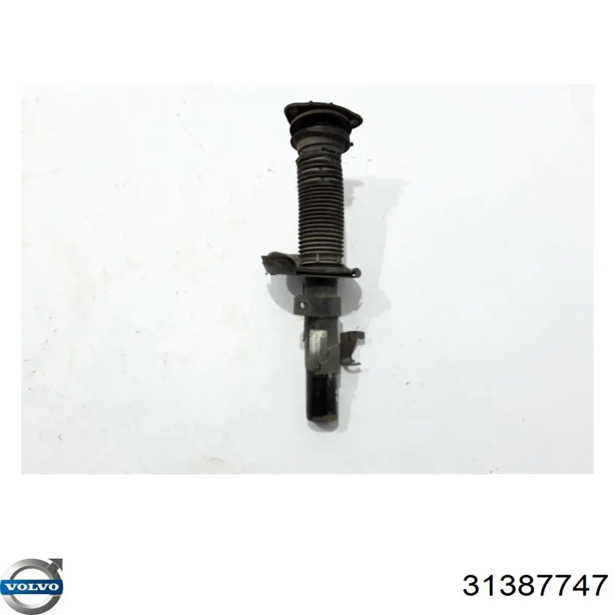 Купити 31387747 Volvo 