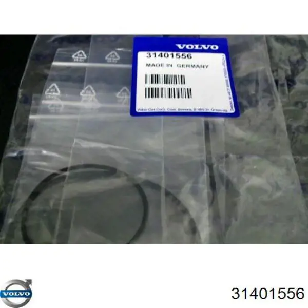 Купити KLLR009388 Klifex Ремкомплект вакуумного насоса