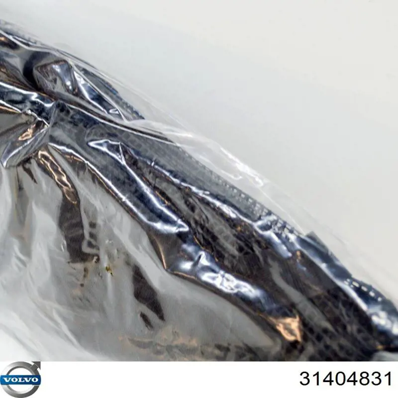 Купити 31390521 Volvo Сітка багажного відсіку