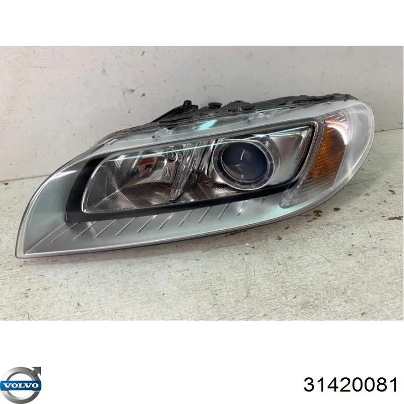 Купити 31420081 Volvo 