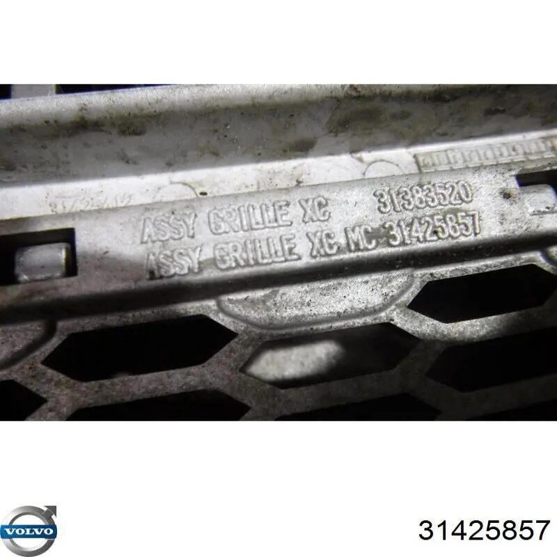 31698290 Volvo 