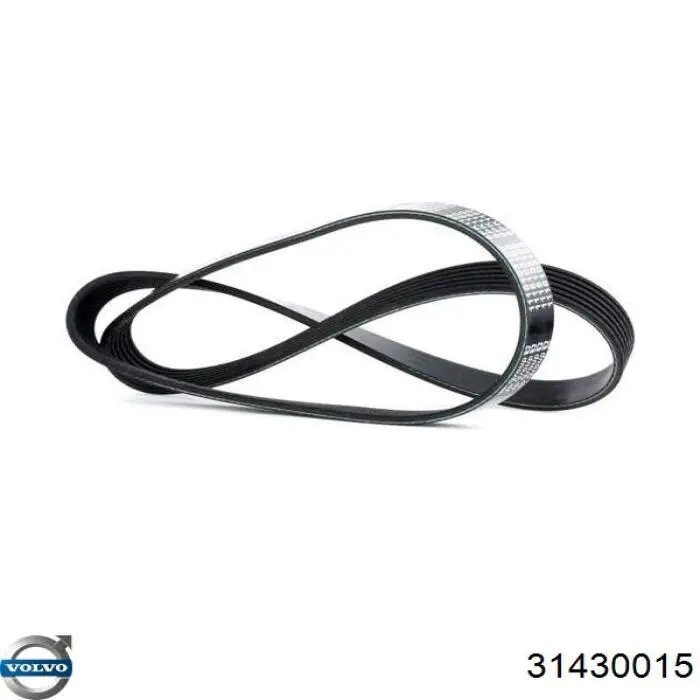 Купити 31430015 Volvo Ремінь генератора
