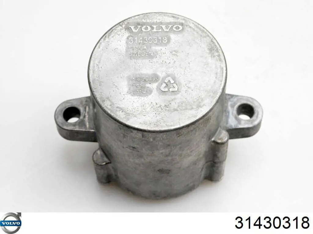 31430318 Volvo 