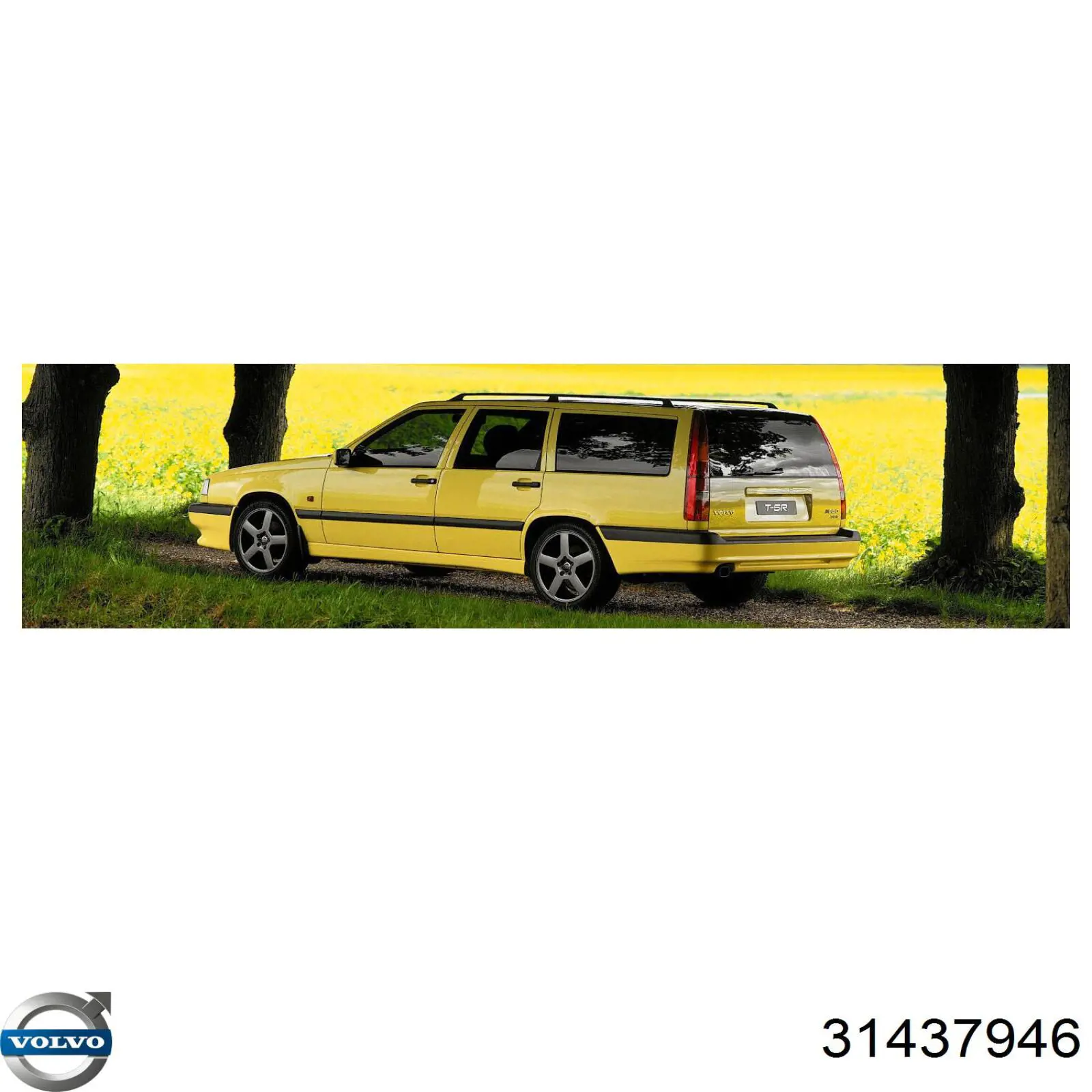 31437946 Volvo Масло для роздавальної коробки