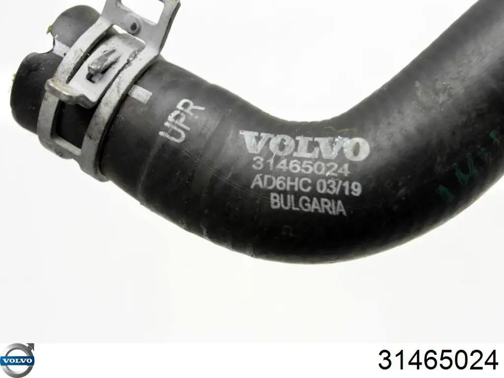 Купити 31465024 Volvo 