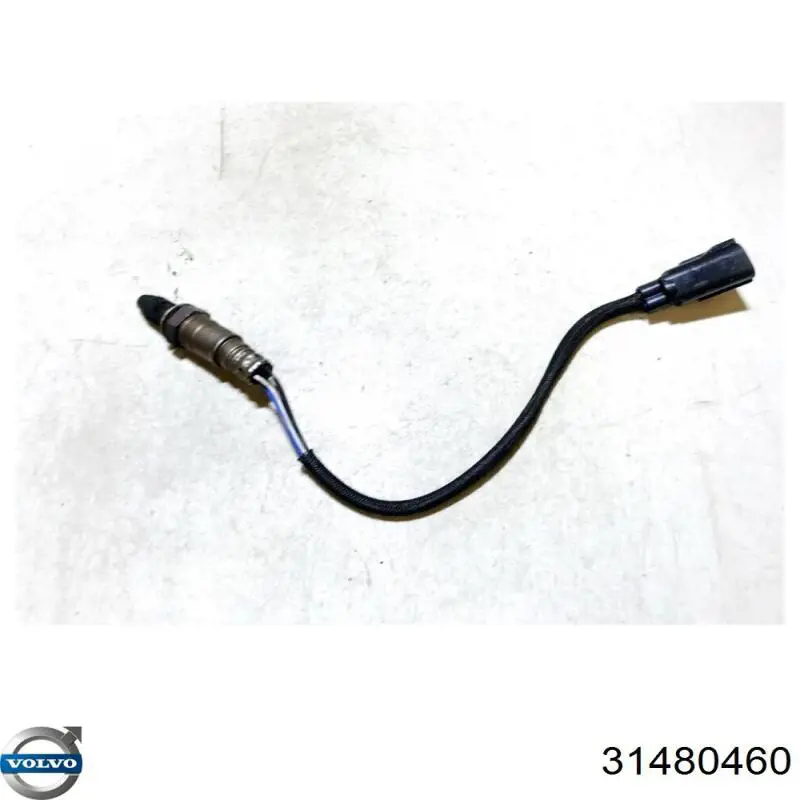 Лямбдазонд, датчик кисню до каталізатора 31293686 Volvo