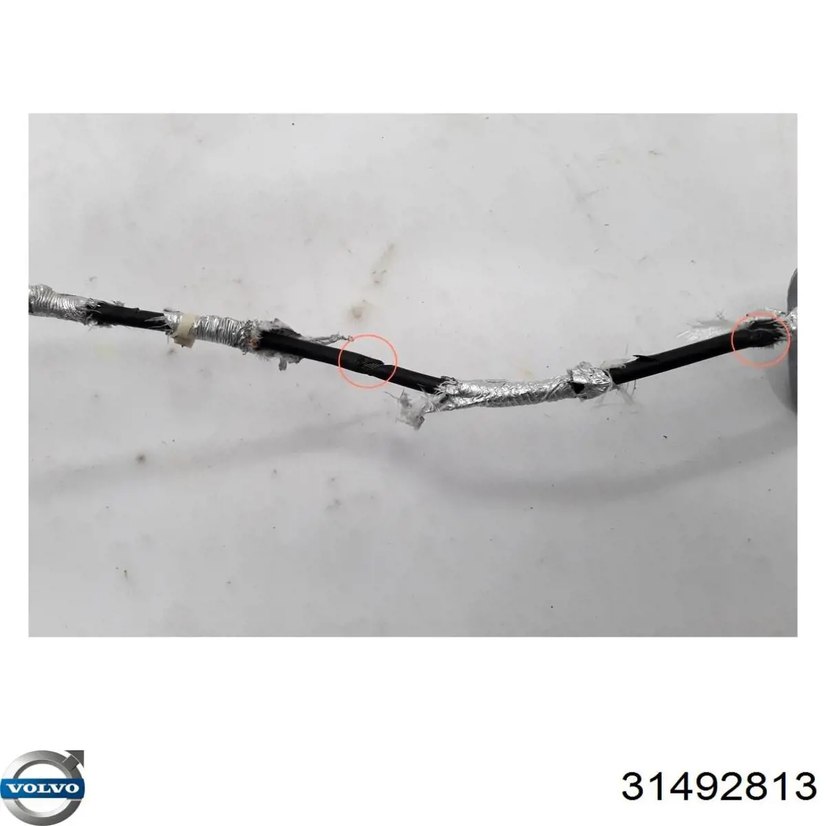 Купити 31492813 Volvo 