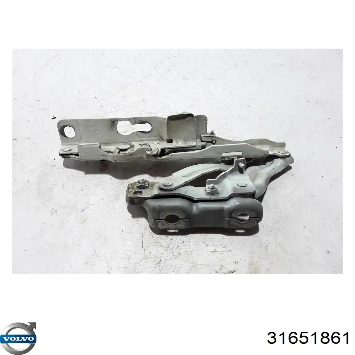 Петля капота, права 31651861 Volvo