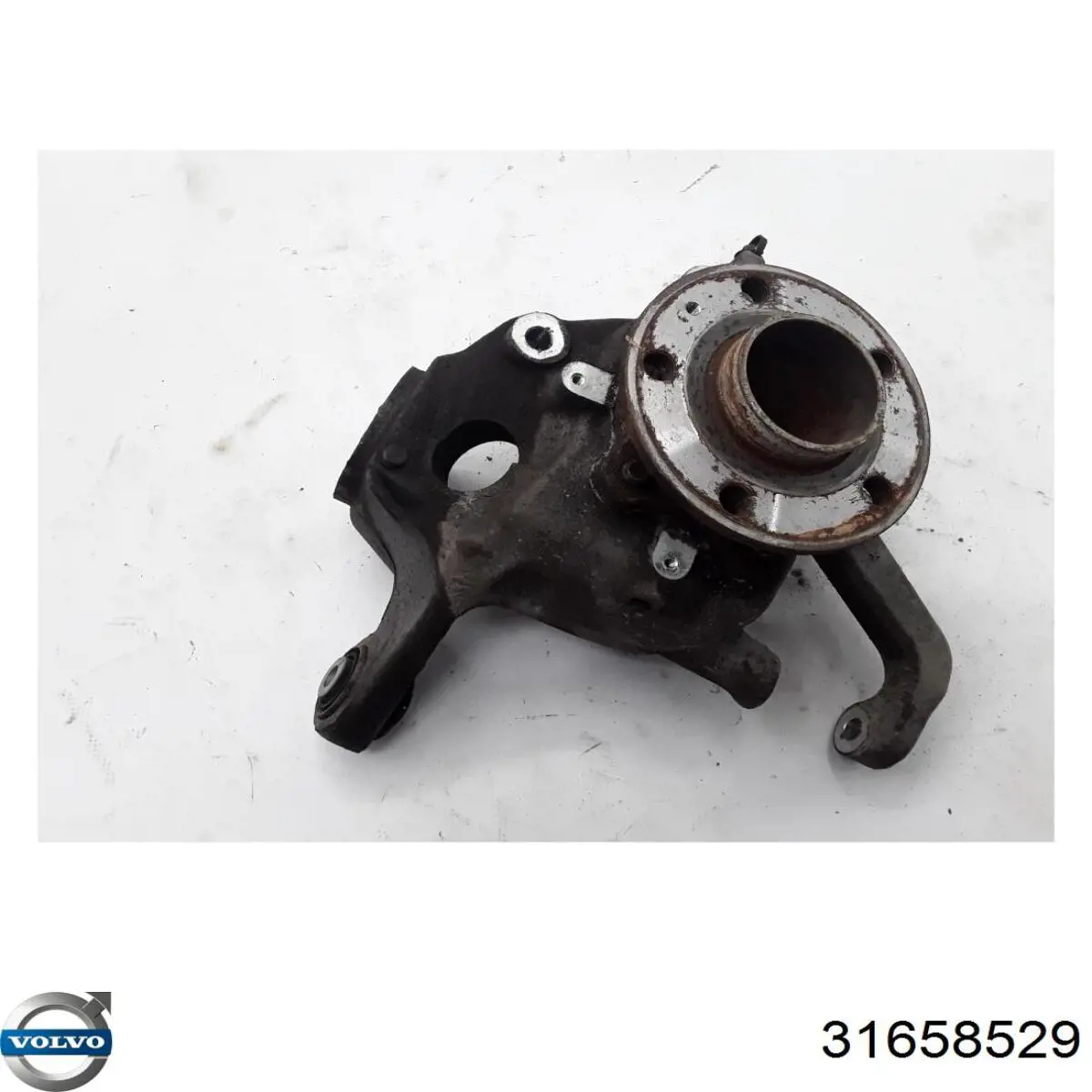 Цапфа - поворотний кулак задній, лівий 31658529 Volvo