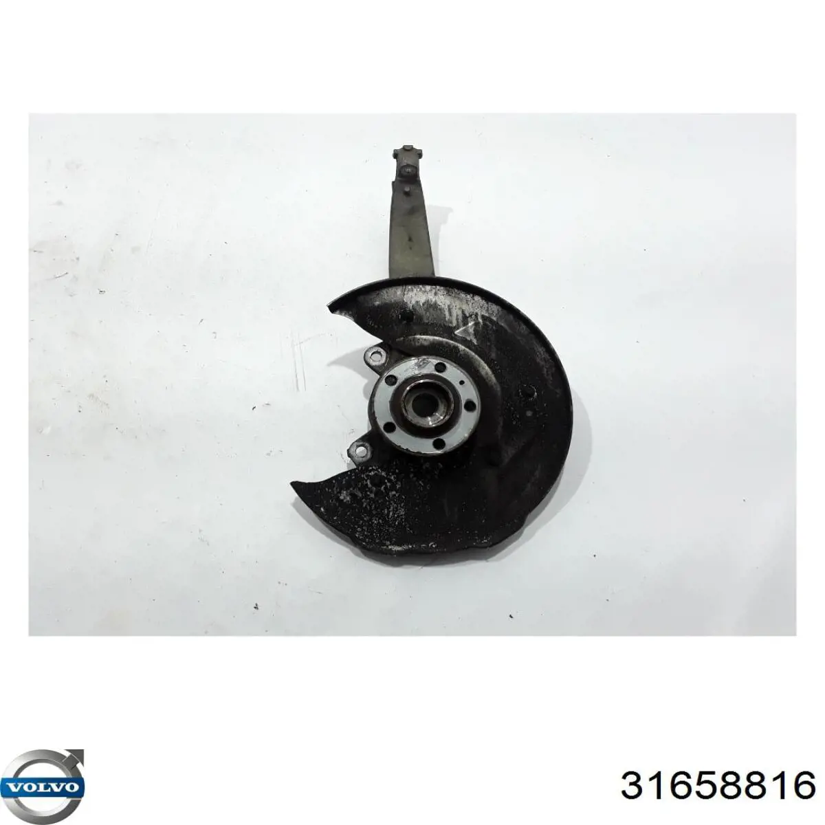 Купити 31658816 Volvo 